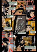 Alina Fox - Thief Extraordinaire # 01 / Biien der Schatten # 01
