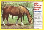 Conny (1980-1989) # 081