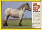 Conny (1980-1989) # 071