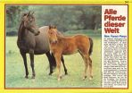 Conny (1980-1989) # 072