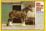 Conny (1980-1989) # 073