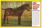 Conny (1980-1989) # 080