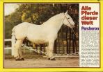 Conny (1980-1989) # 069