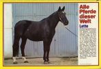 Conny (1980-1989) # 094