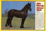 Conny (1980-1989) # 074