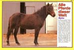 Conny (1980-1989) # 086