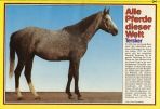 Conny (1980-1989) # 100