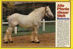 Conny (1980-1989) # 098