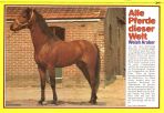 Conny (1980-1989) # 077