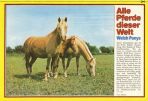 Conny (1980-1989) # 075
