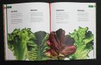Bento Lunch Buch, Das (Kochbuch)