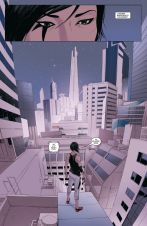 Mirrors Edge (Cross Cult)