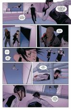 Mirrors Edge (Cross Cult)
