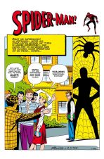 Marvel Klassiker: Spider-Man SC