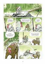Affendmmerung