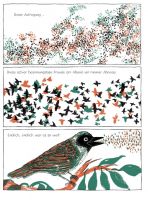 German Calendar No December