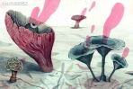 Monomythos (Illustrationen)
