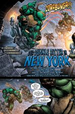 Batman / Teenage Mutant Ninja Turtles: Der Dunkle Ritter in New York