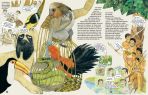 Abenteuer des Alexander von Humboldt, Die