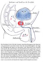 Liebe - Lust - Prostata: Der Comic