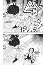 Demon Slayer - Kimetsu no Yaiba Bd. 02