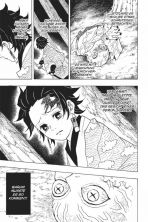 Demon Slayer - Kimetsu no Yaiba Bd. 02
