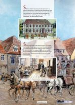 Mser - die Graphic Novel
