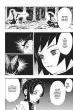 Demon Slayer - Kimetsu no Yaiba Bd. 06