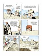 Wstenskorpione # 03 (von 3, farbig)