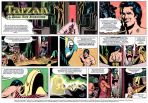 Tarzan Strips Set von Russ Manning