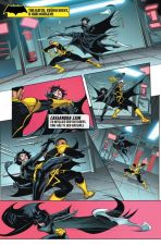 Batman Sonderband: Huntress, Clownhunter und Signal