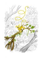 Humboldt-Tier, Das - Ein Marsupilami-Abenteuer - Deluxe Version