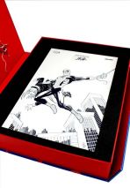 Spider-Man Jubilumsbox 60 Jahre