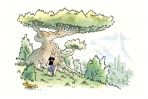Neuen Abenteuer von Herrn Hase, Die # 08 (Kleinformat)