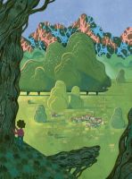 Enzyklopdie des Wunderbaren - Drachen (illustriertes Buch)