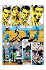 Punisher Anthologie: Bestrafer und Vollstrecker