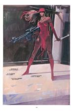 Elektra Collection von Frank Miller
