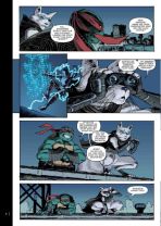 Teenage Mutant Ninja Turtles Splitter Collection # 10