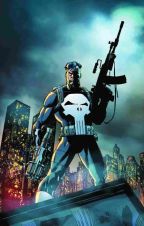 Punisher Collection von Jim Lee