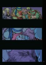 Teenage Mutant Ninja Turtles Splitter Collection # 14