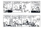 Calvin und Hobbes Kompaktausgabe # 01 (von 7 Sets)