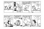 Calvin und Hobbes Kompaktausgabe # 01 (von 7 Sets)