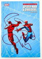 Web of Heroes Collection: Spider-Man & Daredevil