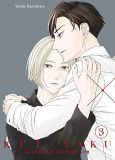 Kei x Yaku: Gef�hrliche Partner Bd. 03