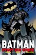 Batman: Stadt der Snde SC