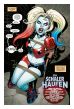 Harley Quinn und die Harley-Gang Variant-Cover