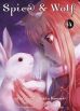 Spice & Wolf Bd. 14