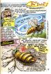 Comic-Bibliothek des Wissens: Bienen