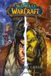 World of Warcraft Graphic Novel # 03 HC - Angriff der Geissel