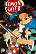 Demon Slayer - Kimetsu no Yaiba Bd. 01